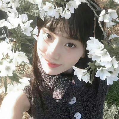 小公子
