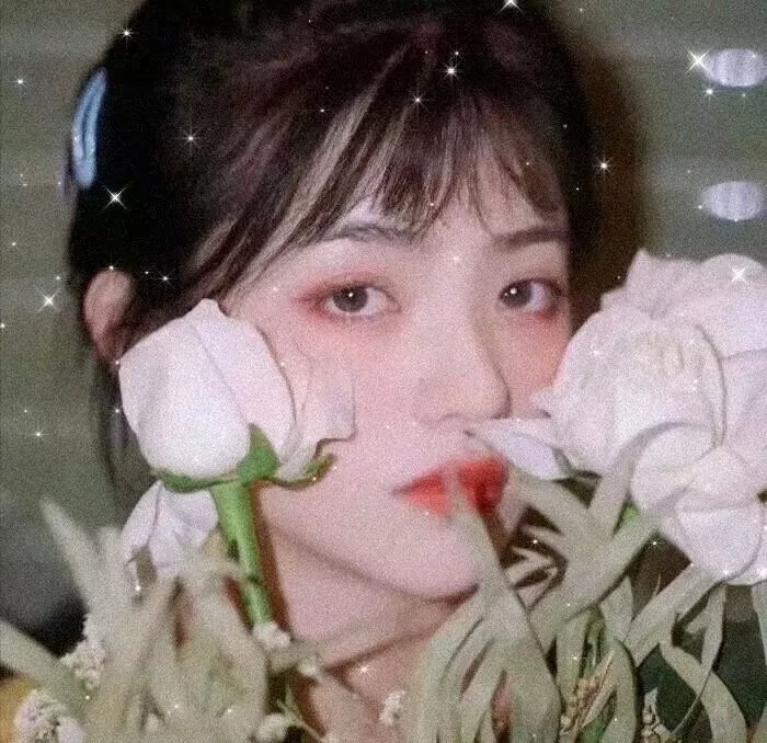 乌龙小姐